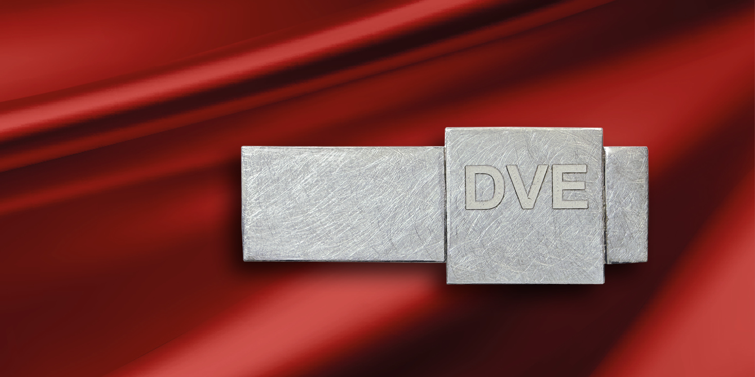 Das Bild zeigt die Ehrennadel. Eine Brosche aus Silber in die das Logo DVE eingraviert ist.