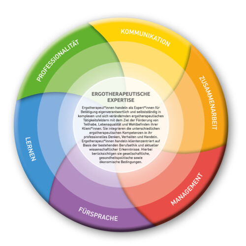 Diese Grafik visualisiert das Zusammenspiel von Kommunikation, Zusammenarbeit, Management, Fürsprache, Lernen und Professionalität. Alle Begriffe sind in farbigen Kreissegmenten dargestellt, die zusammen einen Kreis ergeben.  