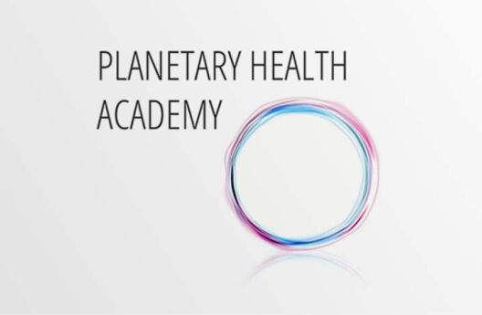Multiplikator:in für Planetare Gesundheit gesucht