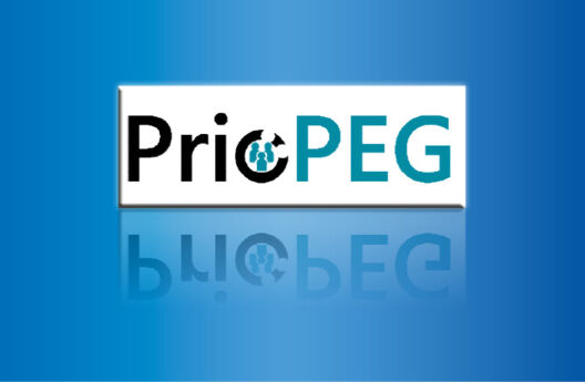 Umfrage zur Gruppenbehandlung (PrioPEG)