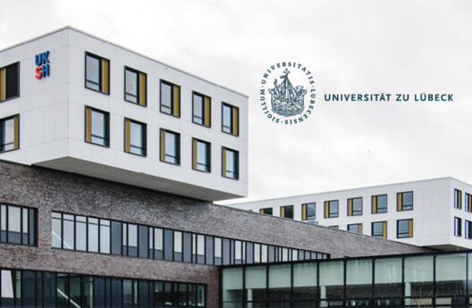 Ergotherapie studieren